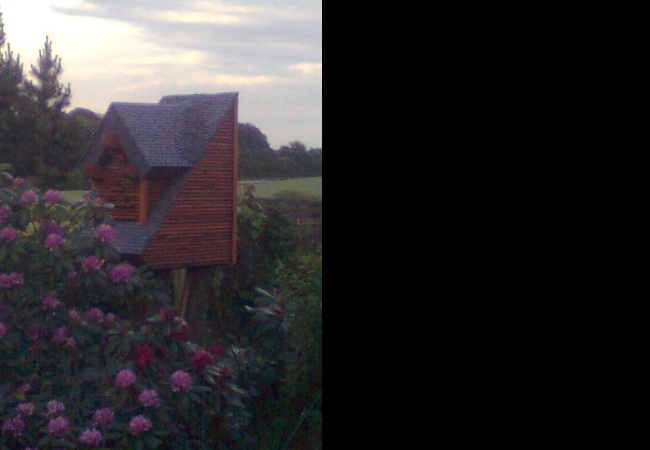 Vogelhaus2.jpg