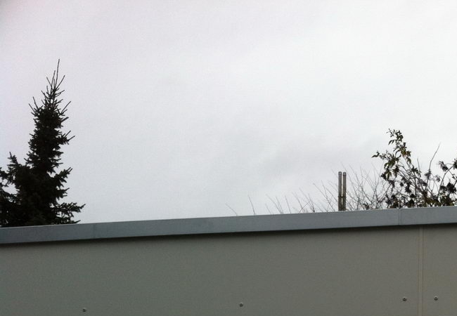 IMG 0573.jpg